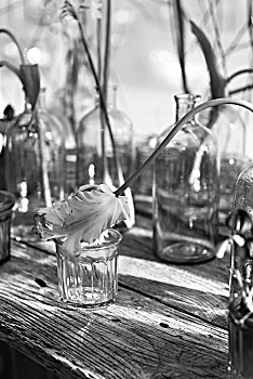 郁金香,玻璃,花瓶,木桌子