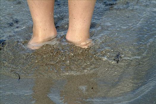 脚,海洋