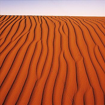 沙漠,红色,沙丘
