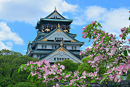 大阪城,著名,历史地标,城市,日本