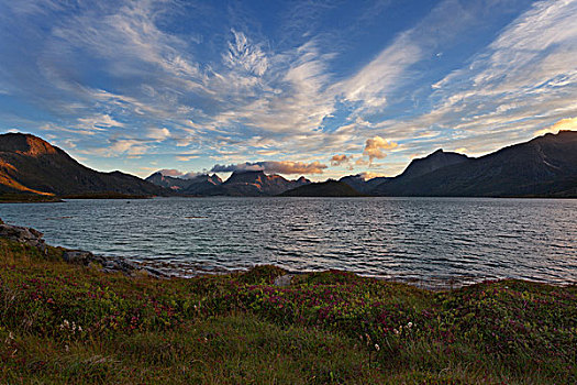 落日,岸边,山,罗弗敦群岛,北方,挪威北部,挪威,北极圈