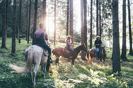 年轻人,骑马,日光,树林,特兰提诺阿尔托阿迪杰,意大利