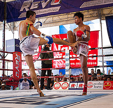 泰国人,拳击,两个男人,争斗,拳击场,泰国,亚洲