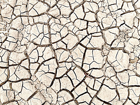 干燥,缝隙,地面,大湾国家公园,德克萨斯,美国