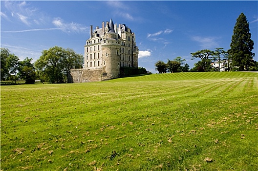 城堡,卢瓦尔河地区,法国