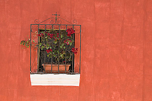 花盆,窗,窗台,安提瓜岛,危地马拉