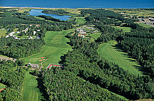 俯视,高尔夫球杆,爱德华王子岛,加拿大