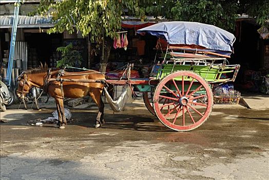 马车,克钦邦,缅甸,亚洲