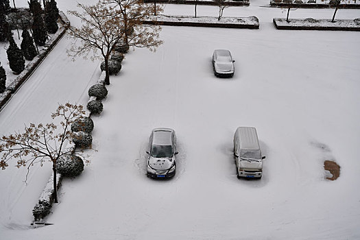 雪后的停车场