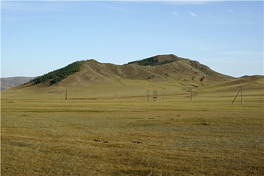 蒙古,草原