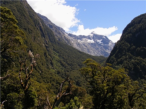 路,米尔福德峡湾