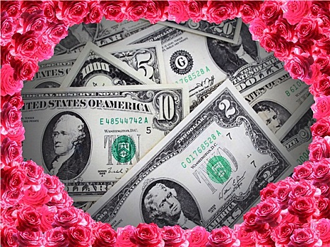美元,货币,玫瑰
