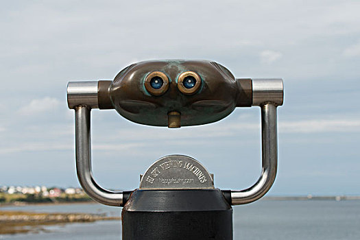 投币望远镜,岩石,港口,格罗莫讷国家公园,纽芬兰,拉布拉多犬,加拿大