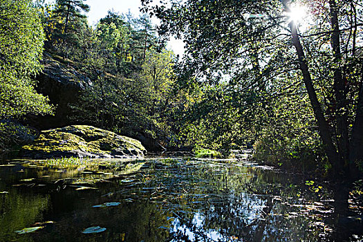 平和,水塘,场景