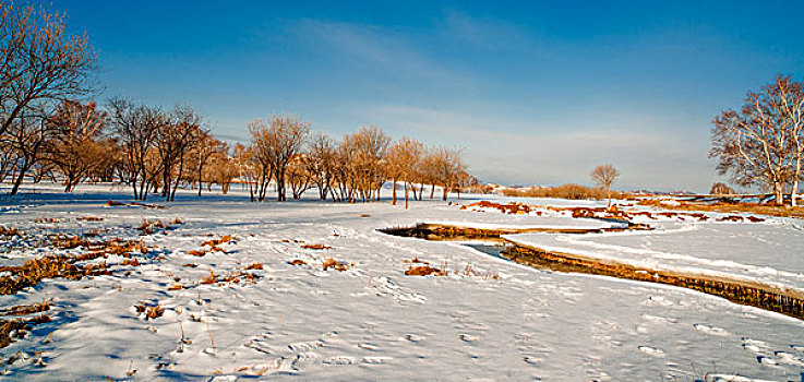 内蒙古冬天,坝上风光,草原,白桦林,雪景,木屋,小河