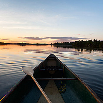 船,划船,平和,湖,日落,木,安大略省,加拿大