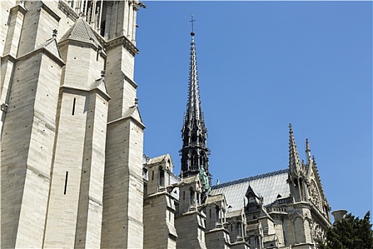 巴黎圣母院,大教堂,巴黎,法国
