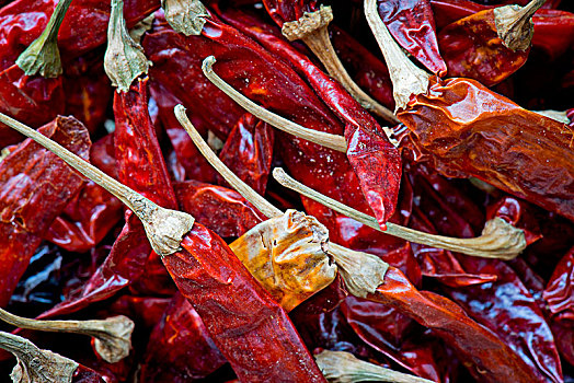 干燥,红辣椒,喀拉拉,印度,亚洲