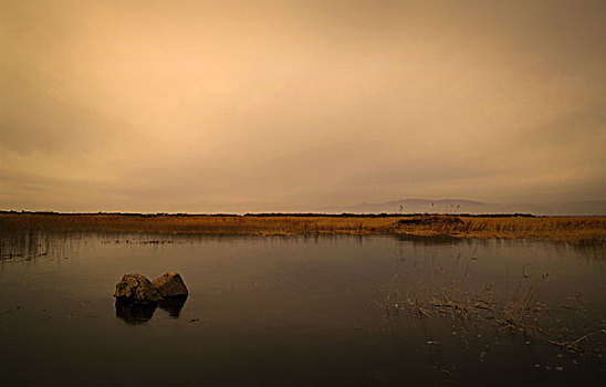 黄河湿地风光,秋