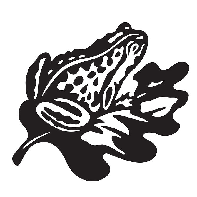 黑色,青蛙,矢量,插画_高清图片_全景视觉