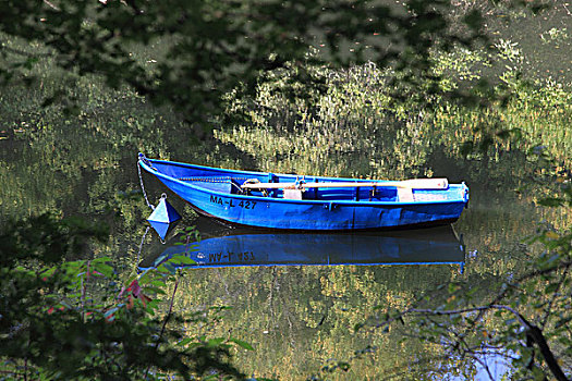 湿地,夏天,蓝色,船