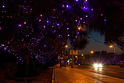 秦皇岛,城市,北戴河,道路,亮化,夜景,建筑