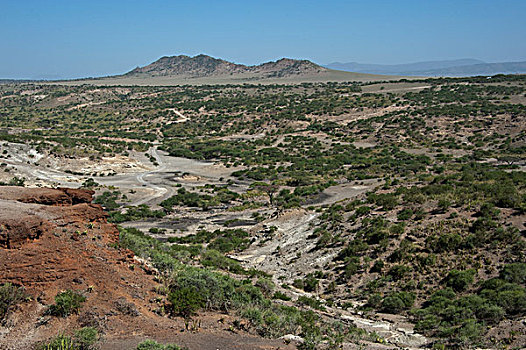 干燥,河谷,峡谷,坦桑尼亚
