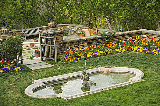 喷泉,花园,橡树,乔治敦,华盛顿特区,美国