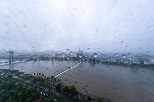 雨中的城市风光