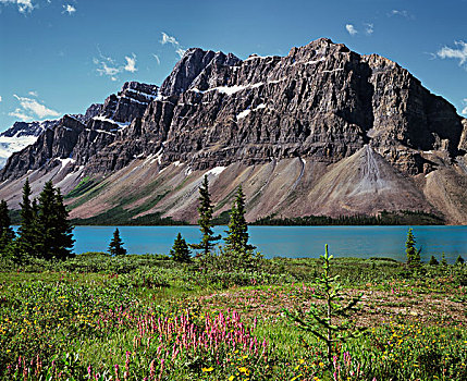 加拿大,艾伯塔省,班芙国家公园,野花,弓湖,大幅,尺寸