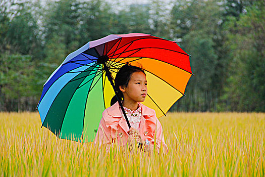 稻花香里话丰年