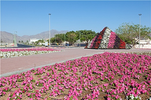 花坛,城市,阿联酋