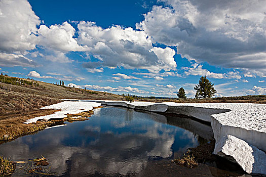 雪,残余,黄石国家公园,怀俄明,爱达荷,蒙大拿,北美,美国