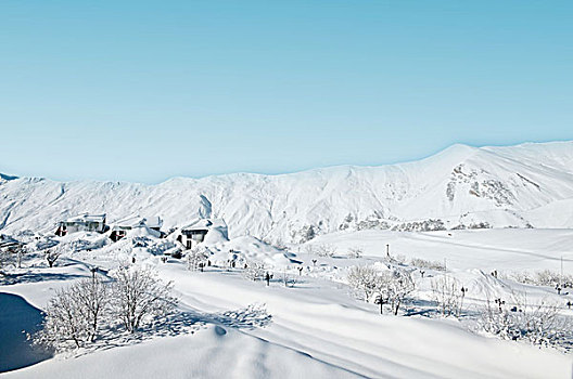 高山,雪