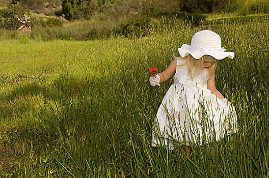 女孩,白色长裙,拿着,花,草