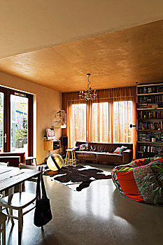 拼合,豆袋椅,地毯,正面,褐色,皮沙发,舒适,生活方式,区域
