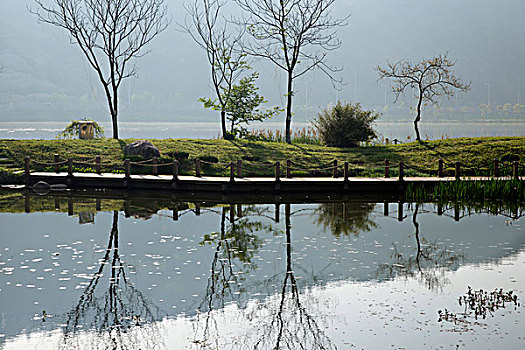 屯溪江边湿地小景