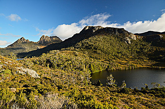 摇篮山,湖,莱拉,国家公园,塔斯马尼亚,澳大利亚