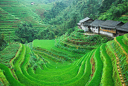 大山里的田园春色