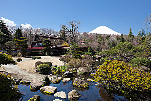 日本,城市,传统建筑,富士山