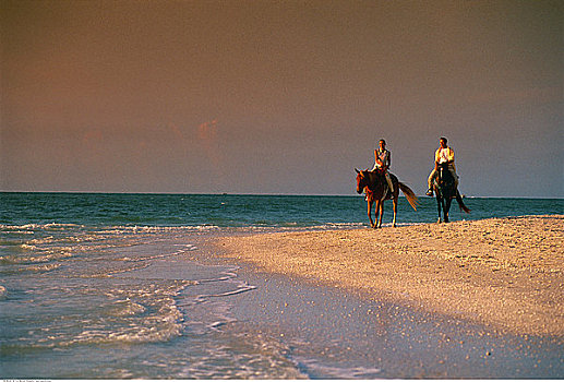 伴侣,骑马,海滩,日落