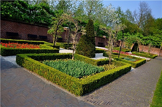 花园,小,灌木丛,库肯霍夫公园,公园,荷兰