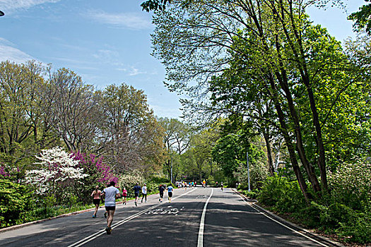 人,跑,途中,中央公园,曼哈顿,纽约,美国