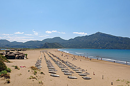太阳椅,遮阳伞,海滩,土耳其,西亚