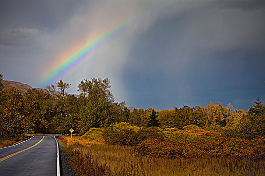 景色,彩虹,接近,高处,湾,道路,科迪亚克岛,西南方,阿拉斯加,秋天