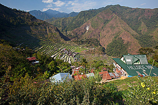 巴纳韦,稻米梯田,吕宋岛,菲律宾