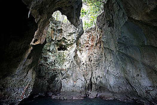 汤加,岛屿,洞穴,特写,室内,石灰石