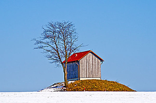 雪