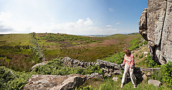 女人,坐,石墙,远眺,丘陵地貌,诺森伯兰郡,英格兰