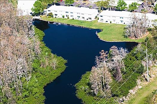 俯拍,水塘,正面,建筑,奥兰多,佛罗里达,美国
